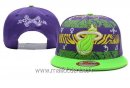 Snapbacks Caps 2016 Miami Heat Pourpre Vert